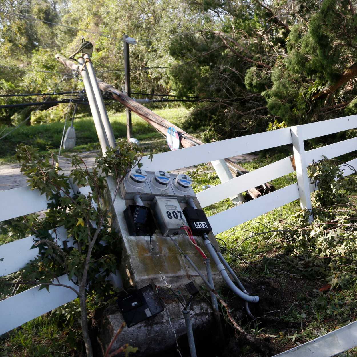 Power Down: Stay Safe When Power Lines Fall 