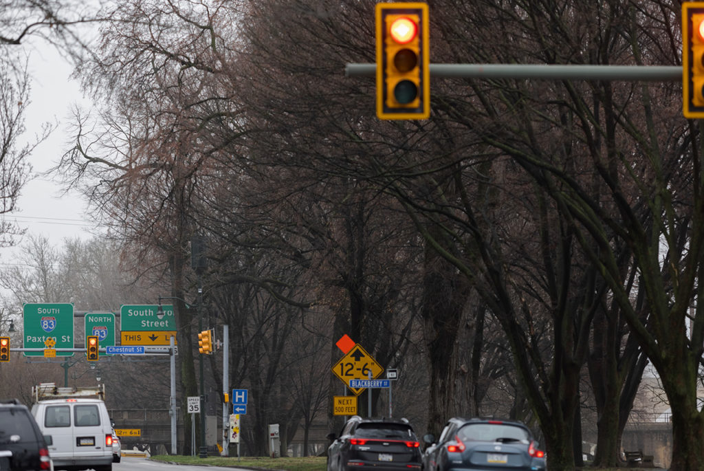 5G tower hidden among trees and signage in intersection